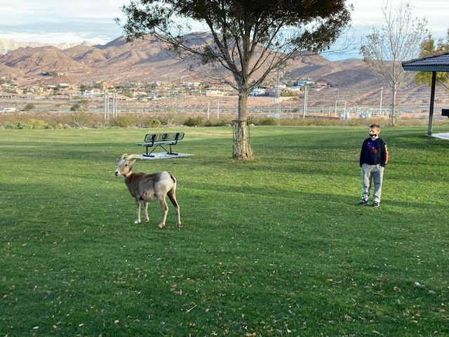 Family fun in Las Vegas